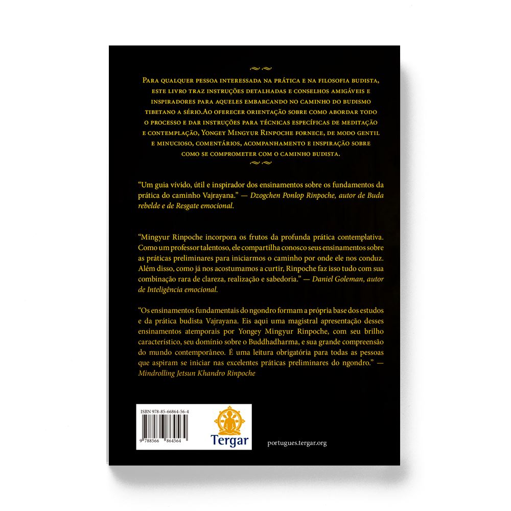 Transformando confusão em clareza: Um guia para as práticas fundamentais do budismo tibetano