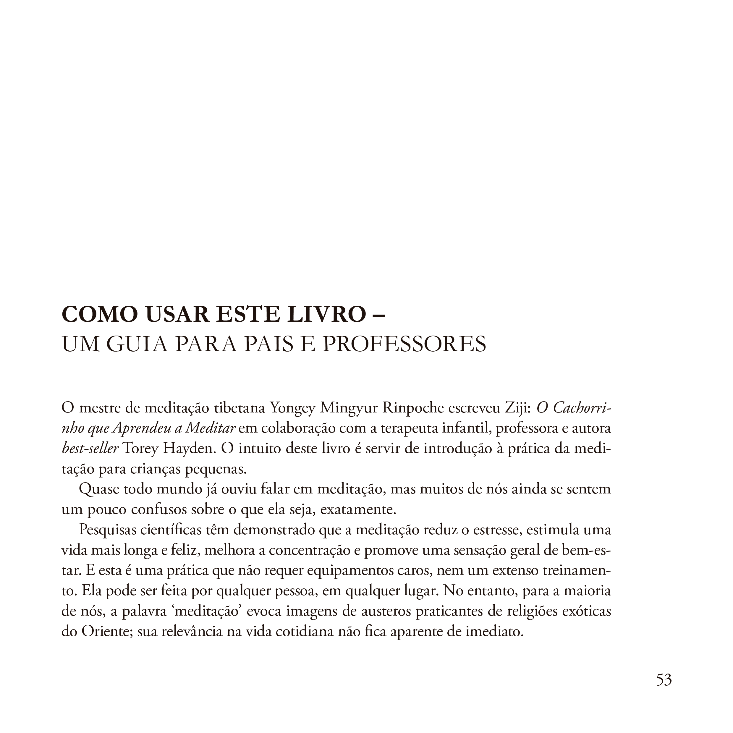 Ziji: o cachorrinho que aprendeu a meditar