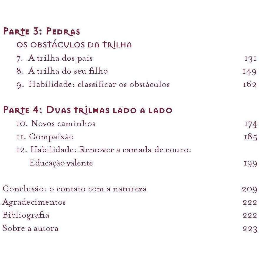 Educação valente: Um guia de inspiração budista para formar crianças com resiliência emocional-Lúcida Letra