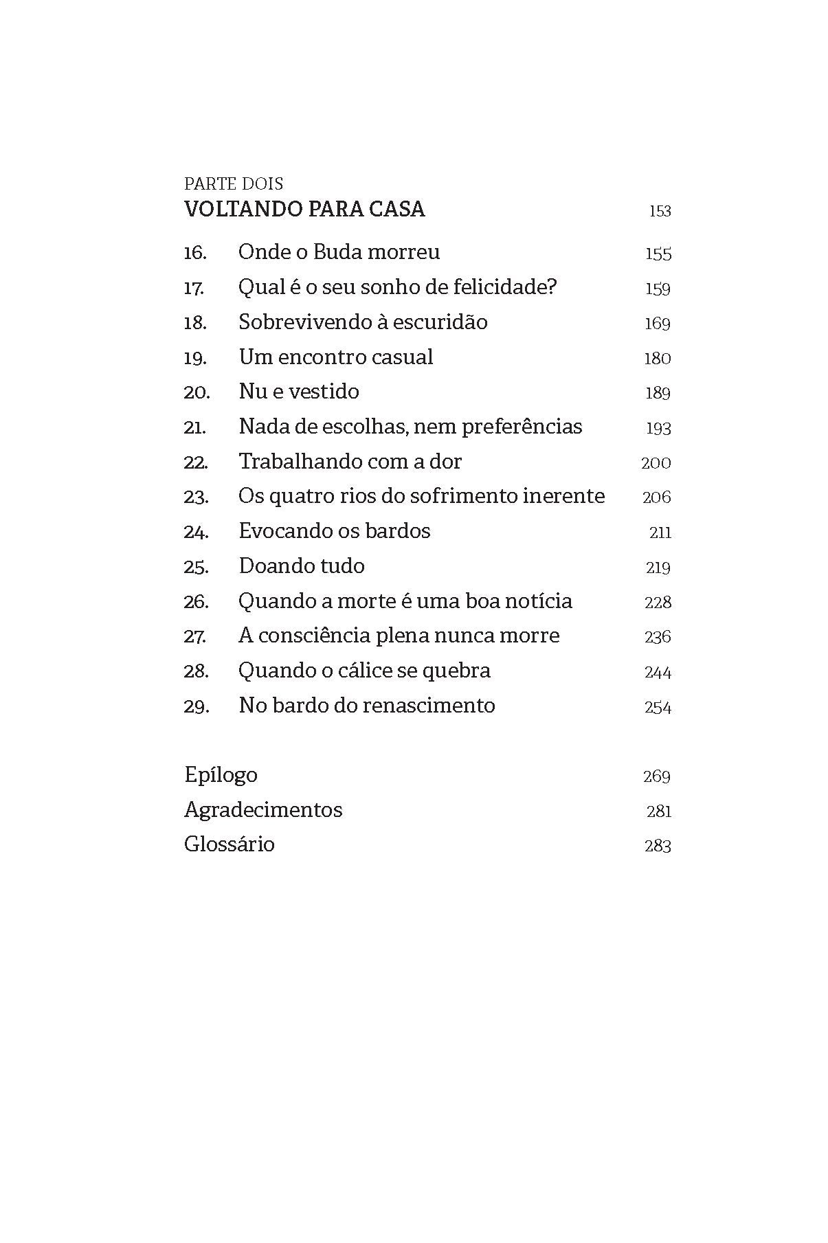 Apaixonado pelo mundo: a jornada de um monge pelos bardos do viver e do morrer